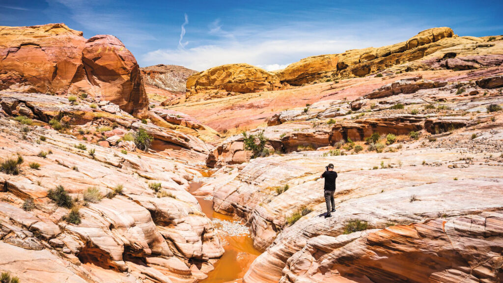 USA Roadtrip von Küste zu Küste - West nach Ost traveljunkies