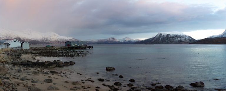 Einsame Fjorde