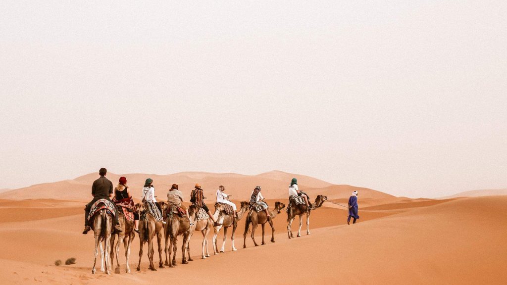 Marokko Erlebnisreise Von den Königstädten bis zur Sahara Wüste Gruppenreisen für junge Leute Marokko traveljunkies