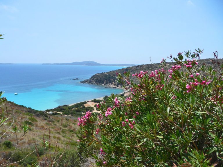 Türkiesblaues Meer