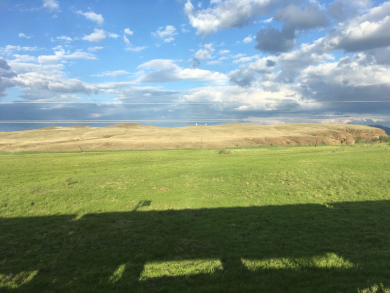 Die Aussicht auf die mongolische Steppe genießen