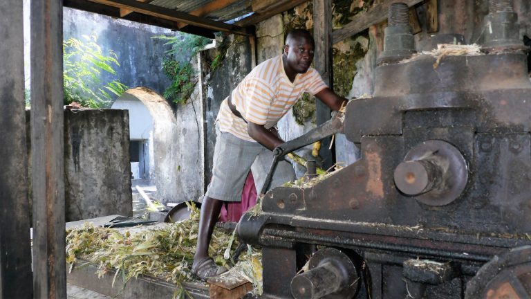 Land und Leute auf Martinique