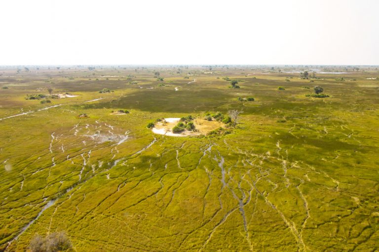 Faszinierendes Okavango Delta