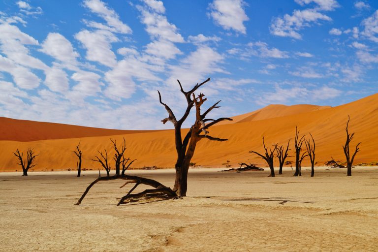 Surreale Landschaft in der Namib Wüste