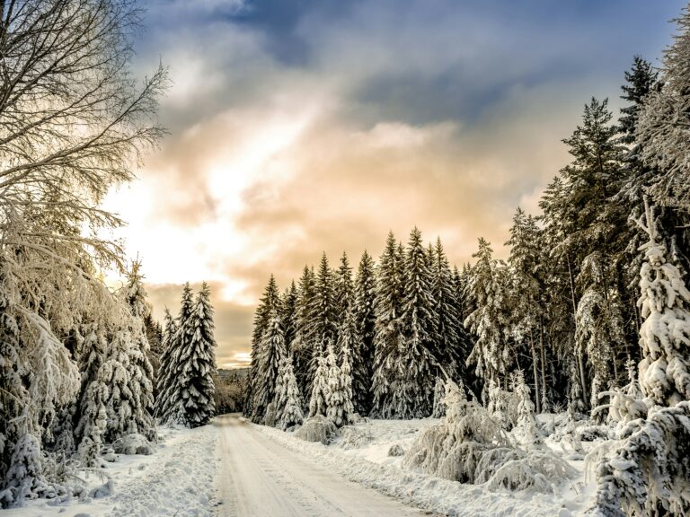 Weiße Traumlandschaften entlang der Winterroute
