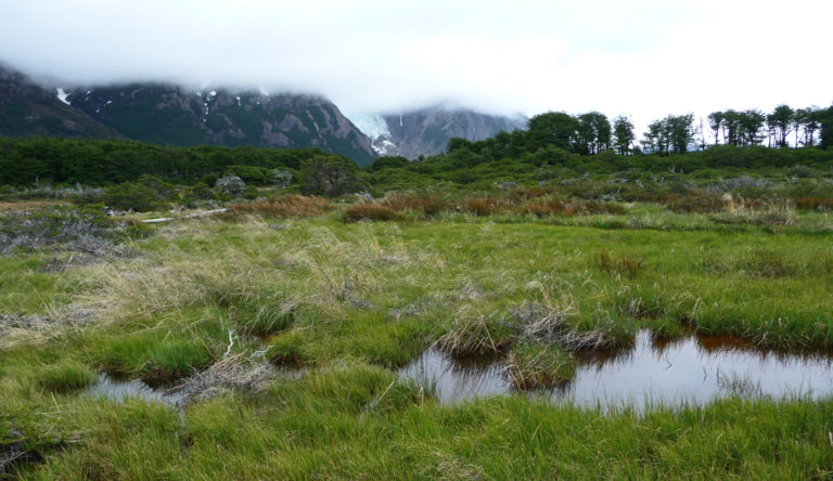 Wandern im Los Glaciares Nationalpark