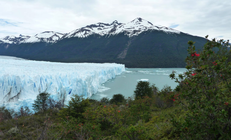 Der imposante Perito Moreno Gletscher