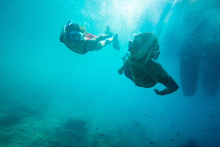 Auch unter Wasser gibt es viel zu entdecken