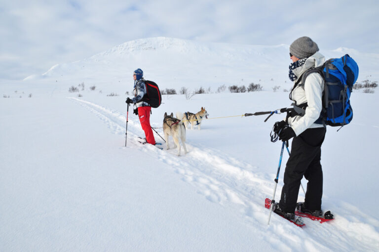 Wandern durch die bezaubernde Winterlandschaft Lapplands