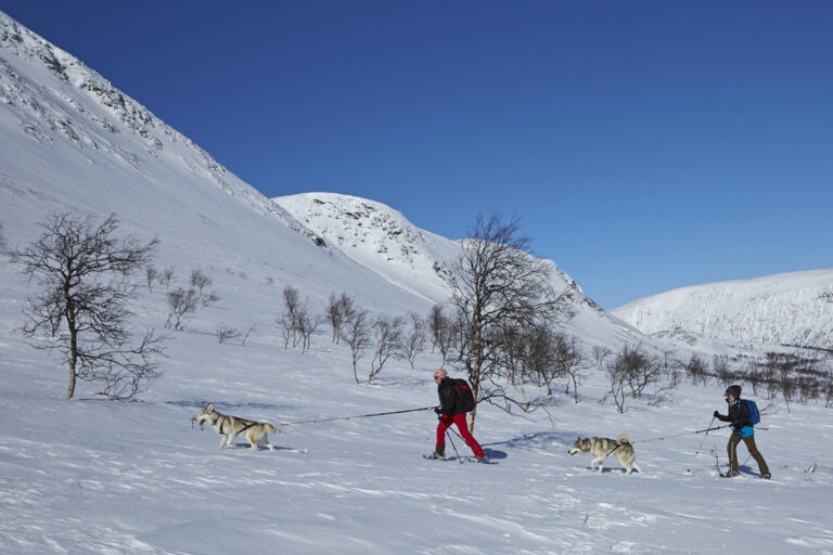 Auf Schneeschuhen durch das Naturschutzgebiet Vindelälven