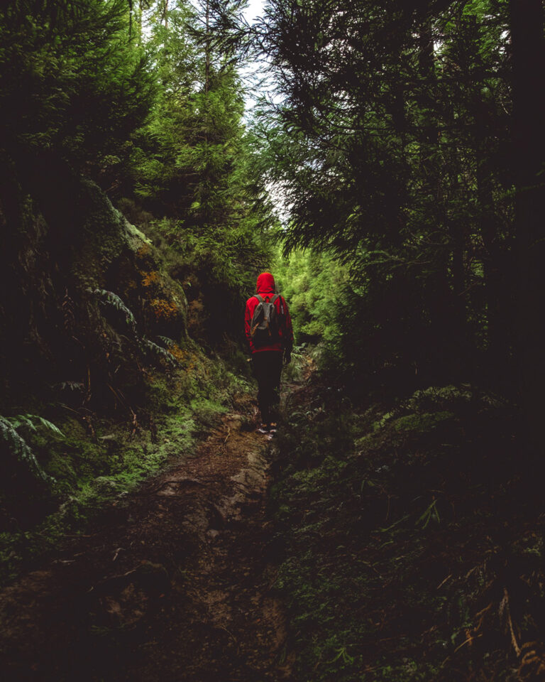 Beeindruckende Wanderungen