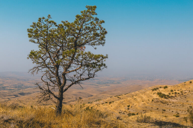 Unberührte Natur