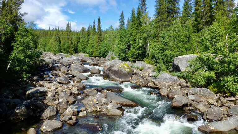 Hüttentour durch das einsame Vindelfjäll
