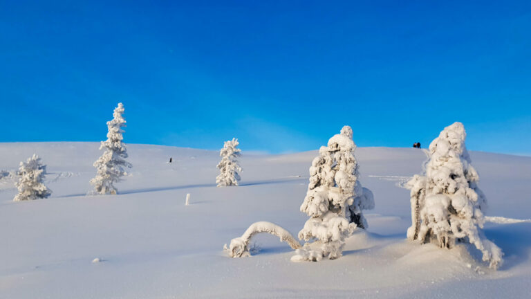 Märchenhafte Winterlandschaft