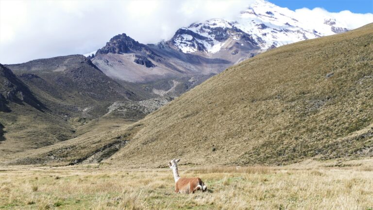 am Fuße des Chimborazo