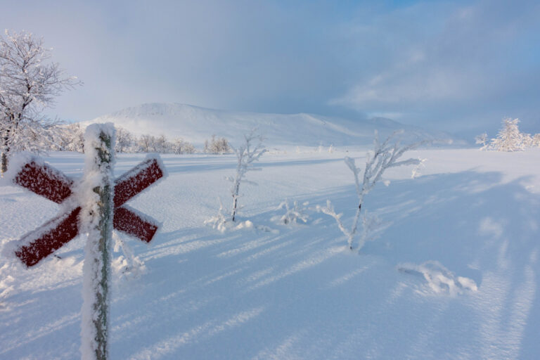 Unendlich viel Schnee