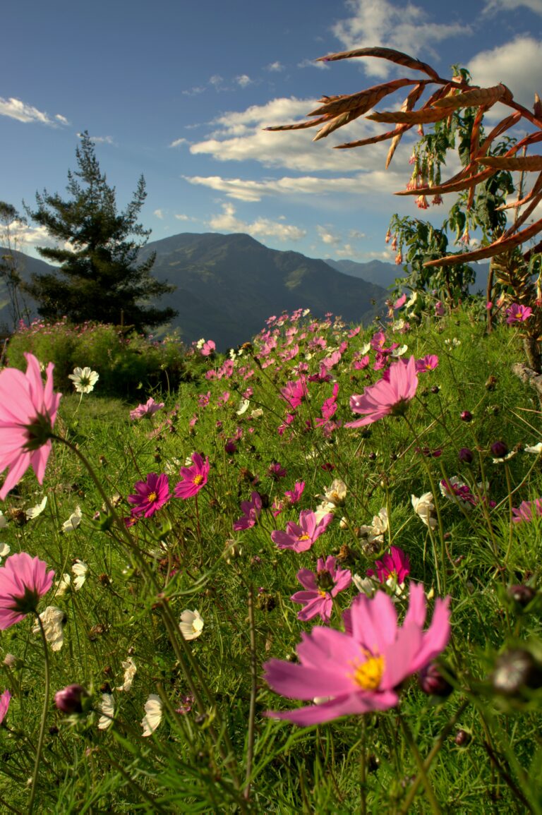 Abseits der Touristenpfade