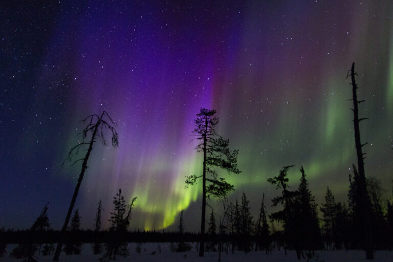 Die atemberaubenden Nordlichter bewundern