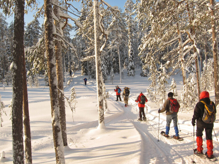 Unterwegs im Hossa-Nationalpark