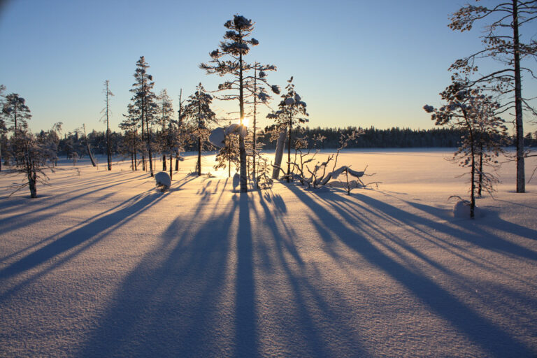 Märchenhafte Winterlandschaft