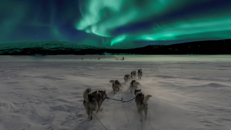 Hundeschlittentour in Lappland -Schweden