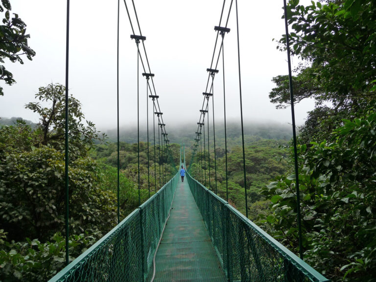 Über die Hängebrücke im Nebelwald von Monteverde
