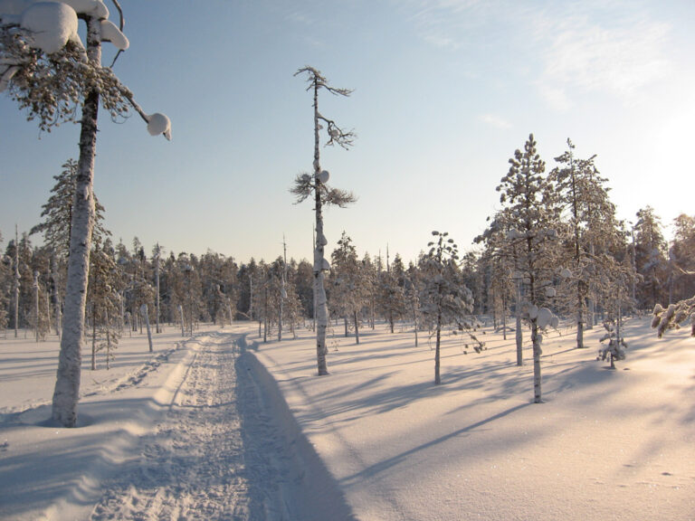 Wunderschöne Schneelandschaft