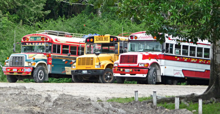 Die öffenlichen Verkehrsmittel sind oft ausrangierte amerikanische Schulbusse
