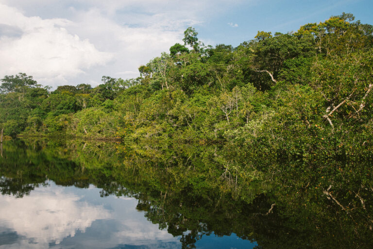 Beeindruckendes Amazonasgebiet