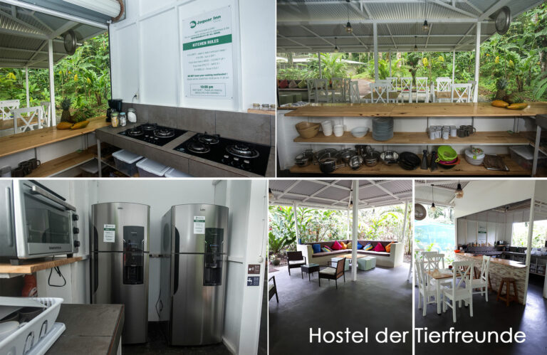 Hostel der Tierfreunde - Küche & Esszimmer