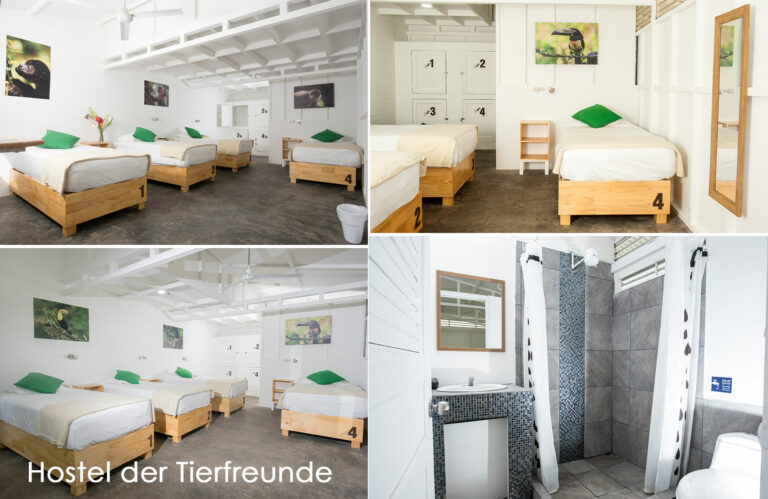 Hostel der Tierfreunde - Schlafräume