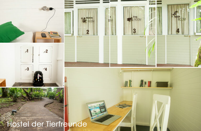 Hostel der Tierfreunde - Schlafräume & Arbeitsplatz