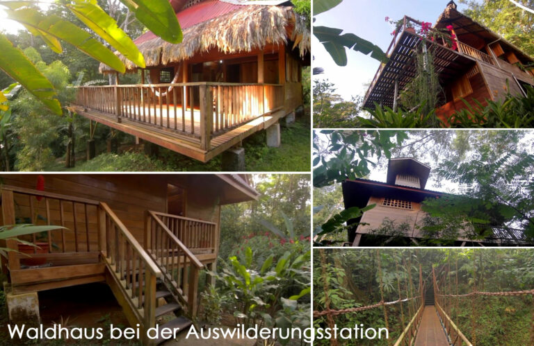 Waldhaus bei der Auswilderungsstation in Costa Rica