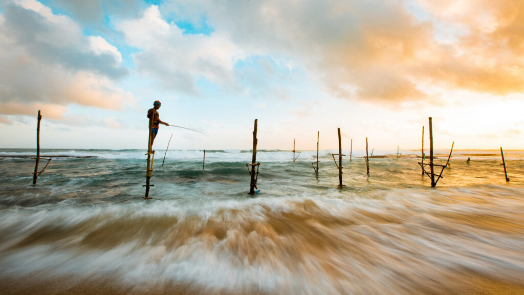 Der Süden von Sri Lanka und Inselhopping auf den Malediven traveljunkies