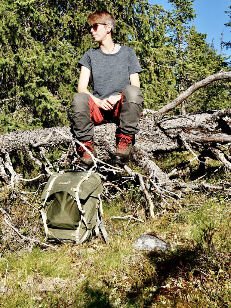 Unterwegs in Lapplands Wäldern