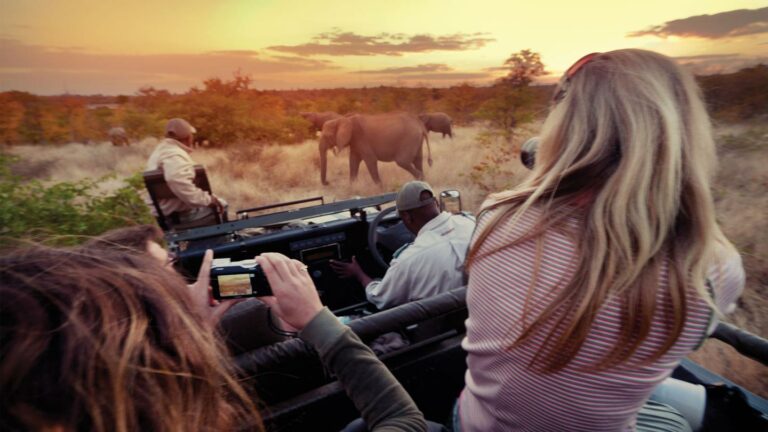 Tierbeobachtung bei Sonnenuntergang