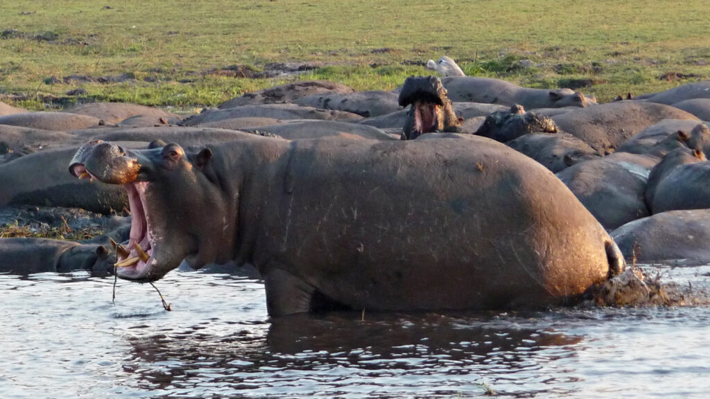 Abenteuerreise von Windhoek zu den Vic Falls traveljunkies