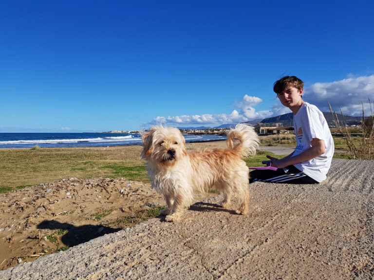 Gassi gehen am Meer