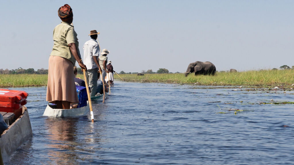 Das südliche Afrika preiswert erleben traveljunkies