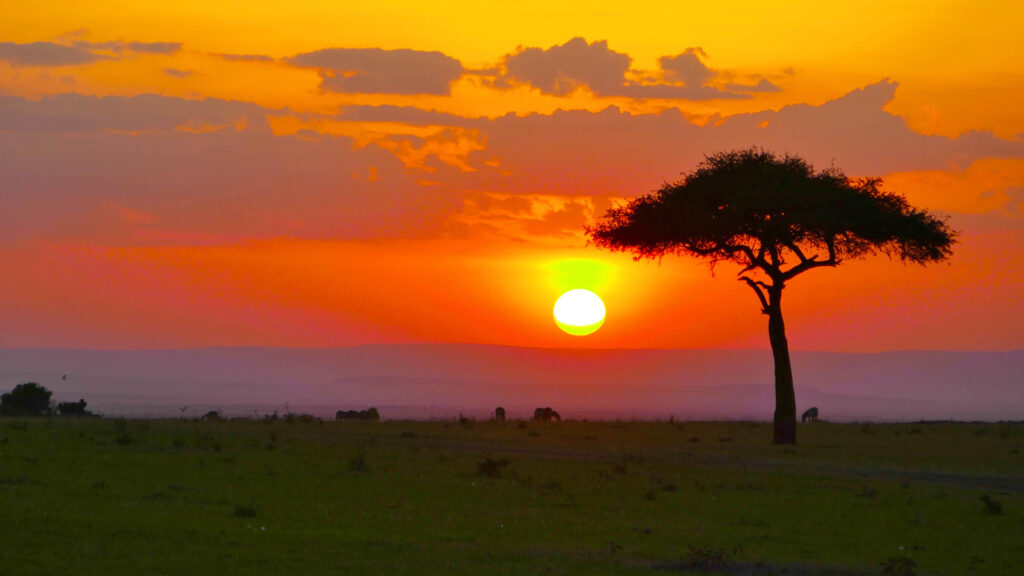 Kruger, Vic Falls, Sansibar Campingabenteuer traveljunkies