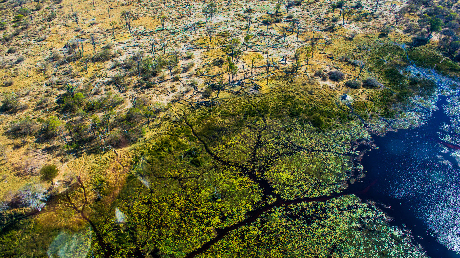 Namibia, Botswana & Vic Falls preiswert reisen - traveljunkies.tours