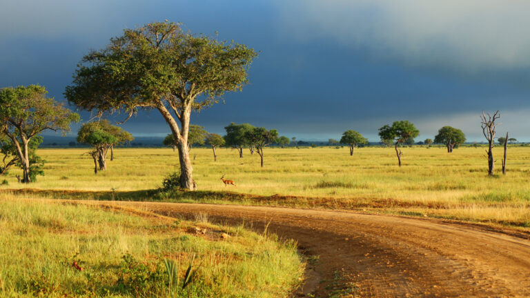 Ostafrika Campingreise mit dem Overland Truck traveljunkies