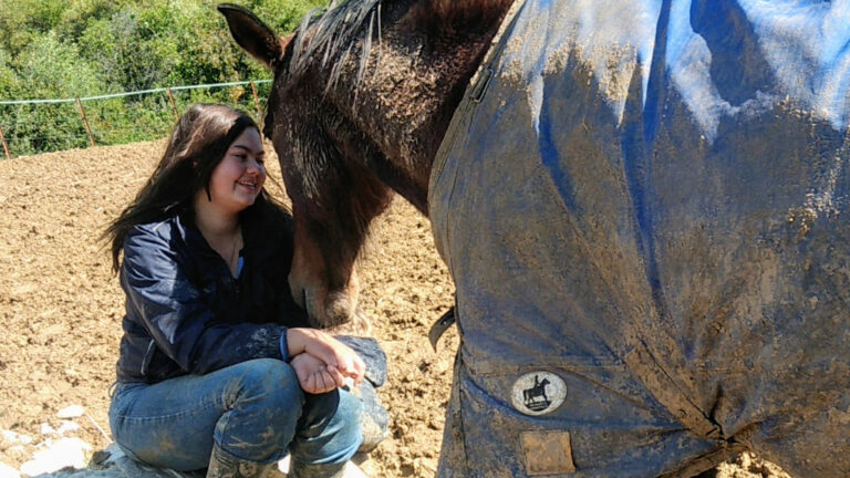 Die Freiwilligenarbeit mit Pferden in Spanien