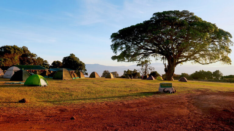 Ultimative Afrika Camping Erlebnisreise traveljunkies