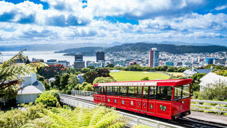 Tolle Aussicht auf Wellington