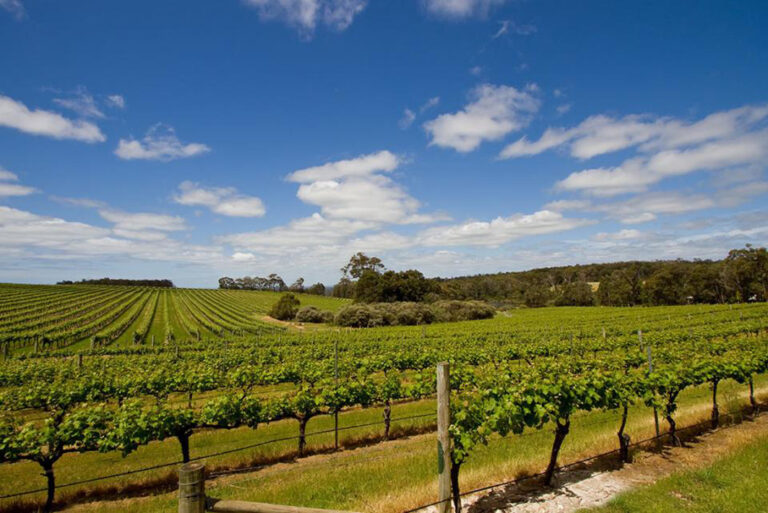 Weingut in Margaret River
