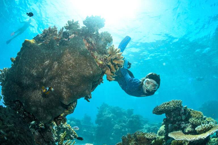 Das einzigartige Great Barrier Reef muss geschützt werden!