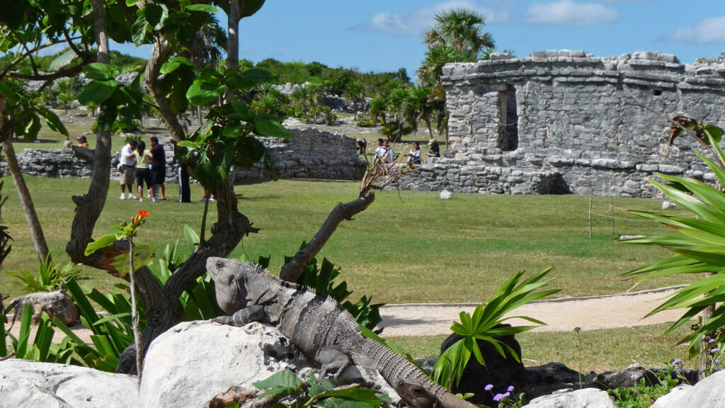 Mexiko Urlaub für junge Leute traveljunkies