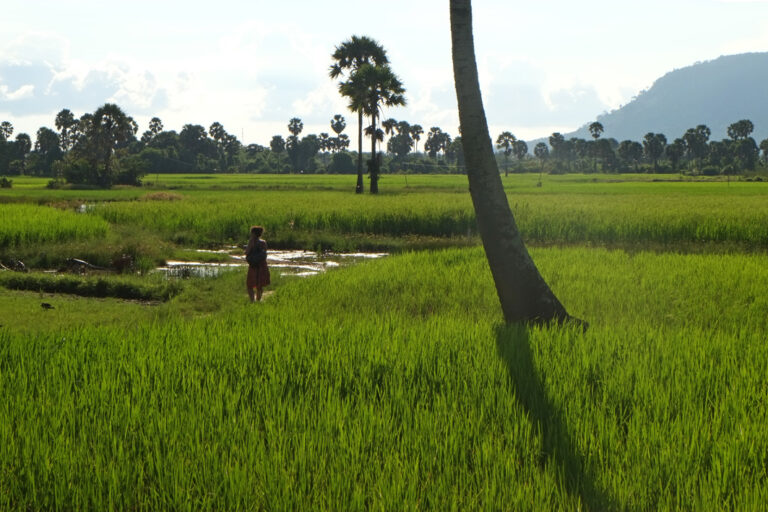 Idyllische Umgebung von Kampot