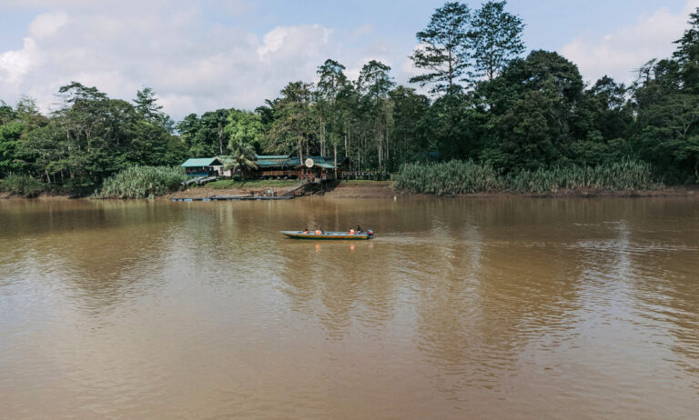 Unterwegs auf dem Kinabatangan Fluss